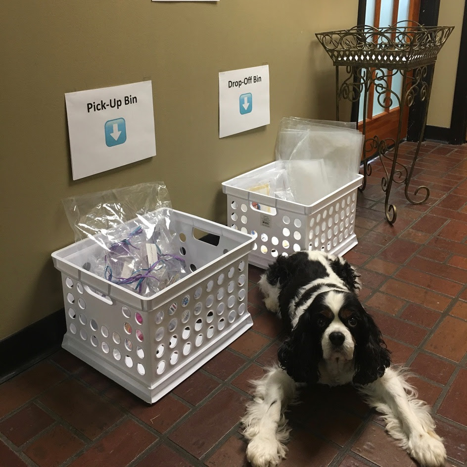 Contactless Bins in Foyer with Pup